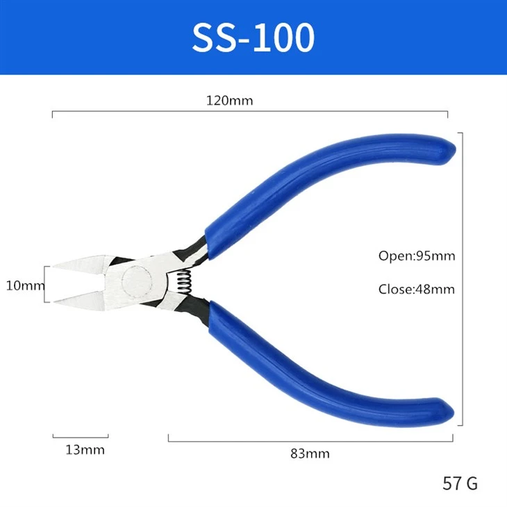 SS100